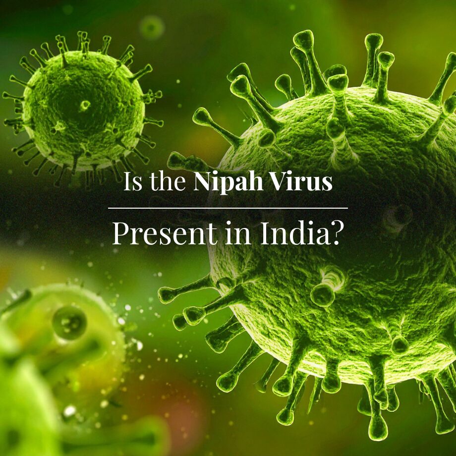 Nipah virus is a dangerous virus